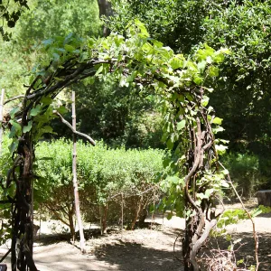 Centennial Maze