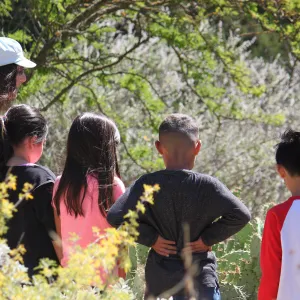Docent led Chumash Uses of Plants tour for 2nd graders from Norman Brekke School