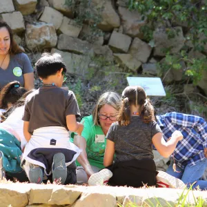 Docent led Chumash Uses of Plants tour for 2nd graders from Norman Brekke School