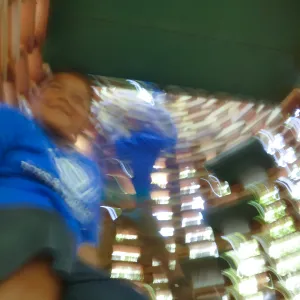 Boys & Girls Club kids at The Hives Casitas