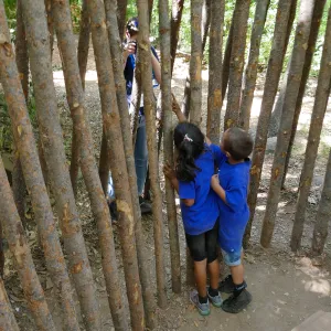 Boys & Girls Club kids at the Understory Casita