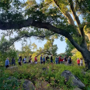 California Naturalist class with Susie Bartz