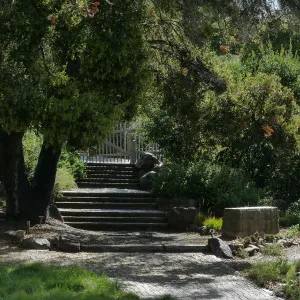 Clara Small Smith Steps