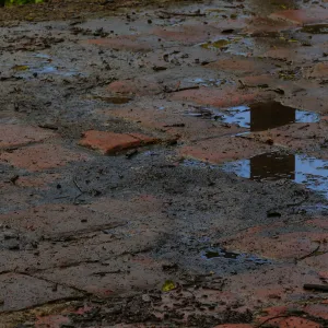 Reflection on Mission Dam tiles after a rainstorm