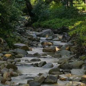 Rain-swollen Mission Creek just above the Mission Dam