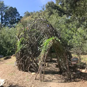 Woodrat House Casita