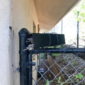 Native bee home at the Hort Unit