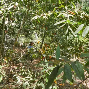 Acorn Adventurers Summer Camp