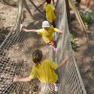 Create in Nature Summer Camp