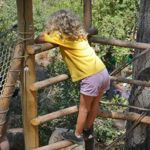 Create in Nature Summer Camp