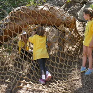 Create in Nature Summer Camp