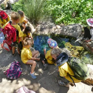 Create in Nature Summer Camp