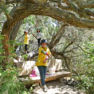 Create in Nature Summer Camp