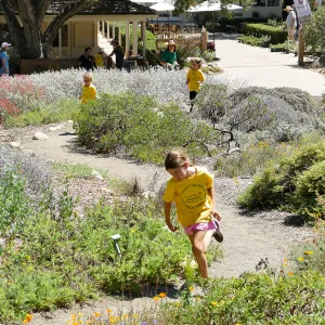 Create in Nature Summer Camp