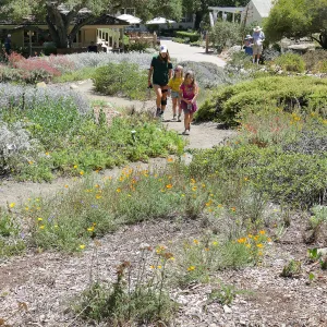 Create in Nature Summer Camp