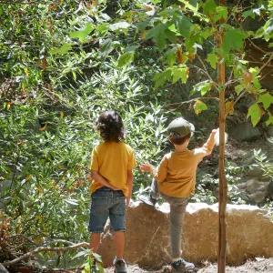 Acorn Adventurers Summer Camp