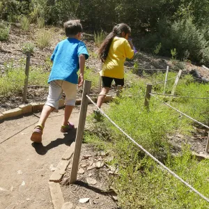 Create in Nature Summer Campers at the Centennial Maze