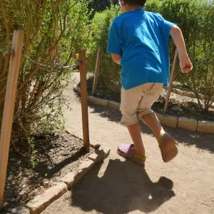 Create in Nature Summer Campers at the Centennial Maze