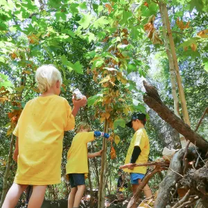 Acorn Adventurers Summer Camp