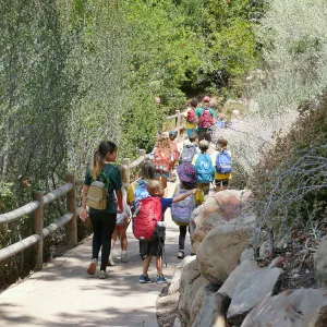 Sense of Nature Summer Camp