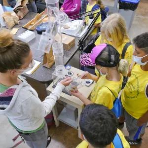 Jr. Naturalist Summer Camp Seed Cleaning Activity