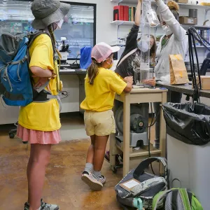 Jr. Naturalist Summer Camp Seed Cleaning Activity