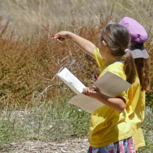 Create in Nature Summer Camp Meadow Painting Activity