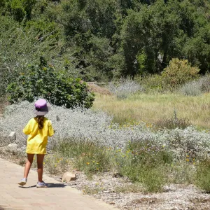 Create in Nature Summer Camp Meadow Painting Activity