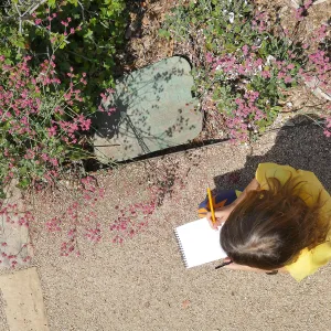 Jr. Naturalist Summer Camp Pollinator Survey Activity