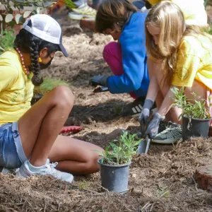 Jr. Naturalist Summer Camp Planting Activity