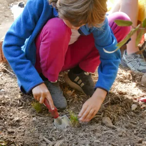Jr. Naturalist Summer Camp Planting Activity