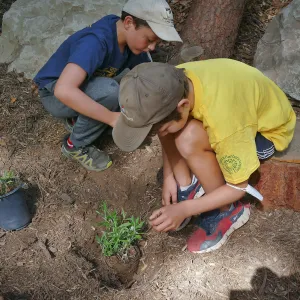 Jr. Naturalist Summer Camp Planting Activity