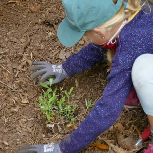 Jr. Naturalist Summer Camp Planting Activity