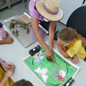 Jr. Naturalist Summer Camp Horticulture Unit Tour