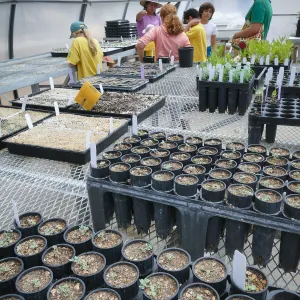 Jr. Naturalist Summer Camp Horticulture Unit Tour