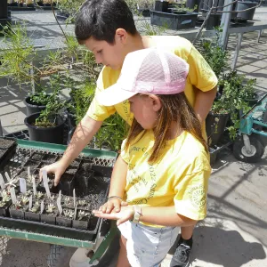 Jr. Naturalist Summer Camp Plant Propagation Activity