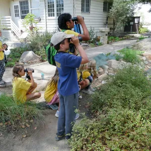 Jr. Naturalist Summer Campers Observing a Hawk