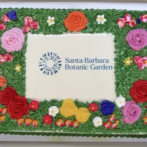 2023 Volunteer Appreciation Luncheon Cake