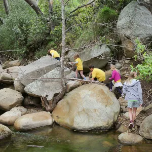 Neighbors in Nature Summer Camp, Mission Creek exploration activity