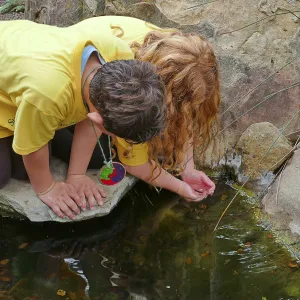 Neighbors in Nature Summer Camp