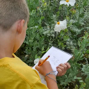Neighbors in Nature Summer Camp, Plant identification and journaling activity