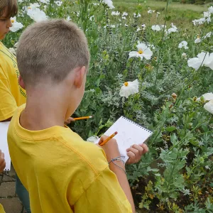 Neighbors in Nature Summer Camp, Plant identification and journaling activity