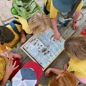 Neighbors in Nature Camp, Beat sheeting activity