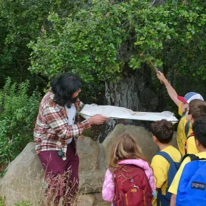 Neighbors in Nature Camp, Beat sheeting activity