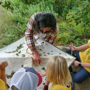 Neighbors in Nature Camp, Beat sheeting activity