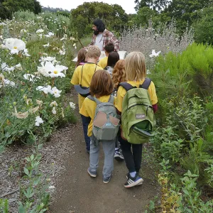 Neighbors in Nature Camp, Beat sheeting activity