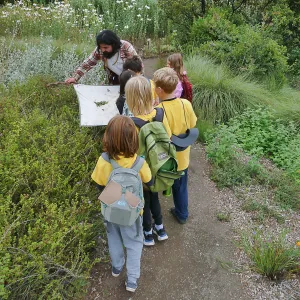 Neighbors in Nature Camp, Beat sheeting activity
