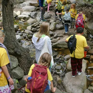 Neighbors in Nature Camp