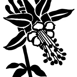 Columbine