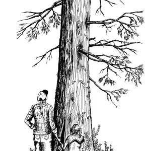 Mother, Daughter and Sequoia (redwood)
